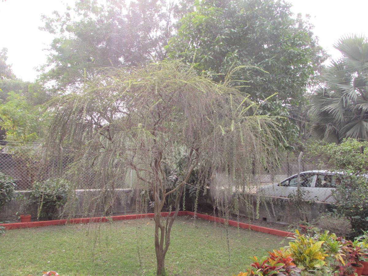 Aayesh Bed & Breakfast Shānti Niketan Extérieur photo